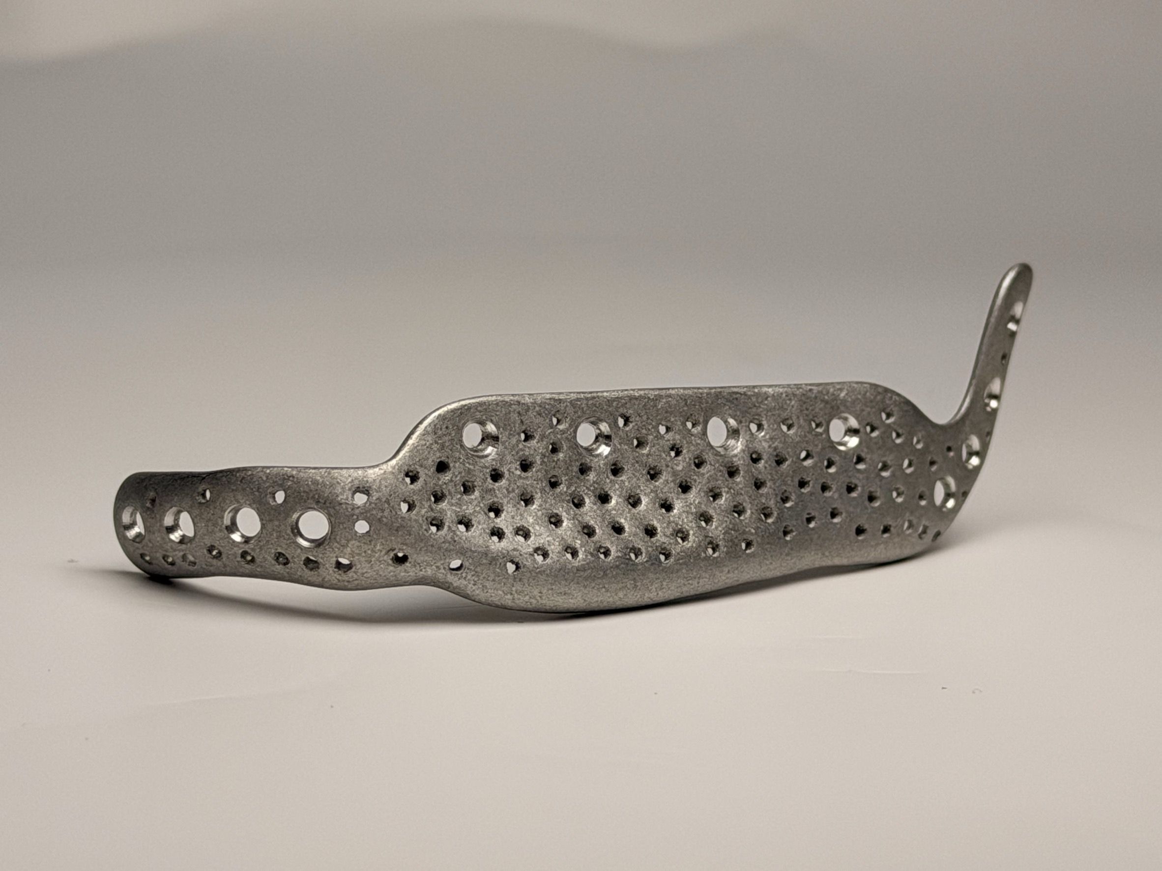 OsseoLabs: Magnesium mesh